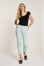 Afbeelding in Gallery-weergave laden, Broek bowie colour
